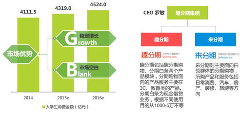 分期電商市場深度調研 現狀、機遇與挑戰